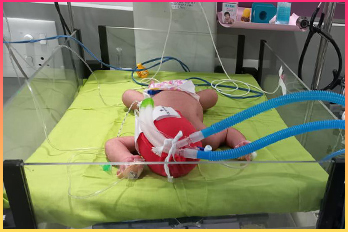 baby of Saqurunnisa Image