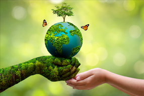 World Environment Day Spreading Bliss